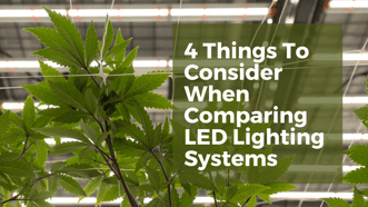 4 Considerations When Comparing LED Lighting Systems for Cultivation
