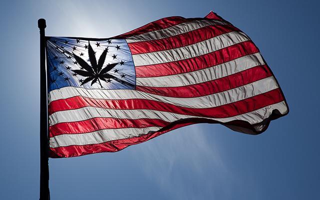 Cannabis Freedom