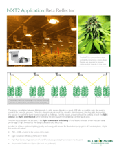 What lighting solution do you have in place?
