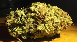 Pot Stocks, ETFs, Top News And Data From The Cannabis Industry This Week