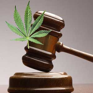 marijuana legislation
