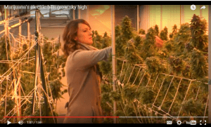 Marijuana’s Electric Bills Are Sky High