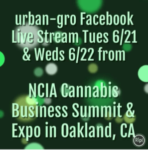 urban gro facebook live stream 