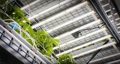 Retrofitting Lights without Compromising Environmental Control