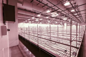 Medical Cannabis Cultivation Facilities