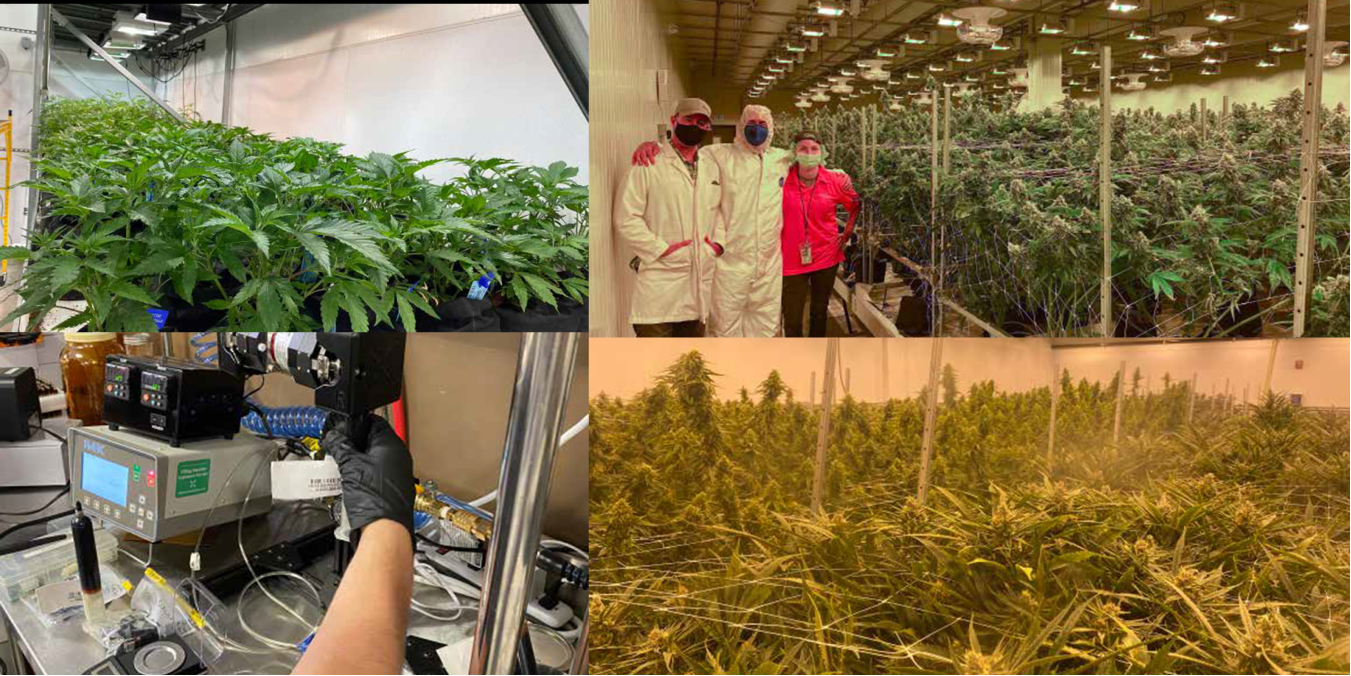 CEA Project - Vertically Integrated Cultivation Facility - SIRA-1