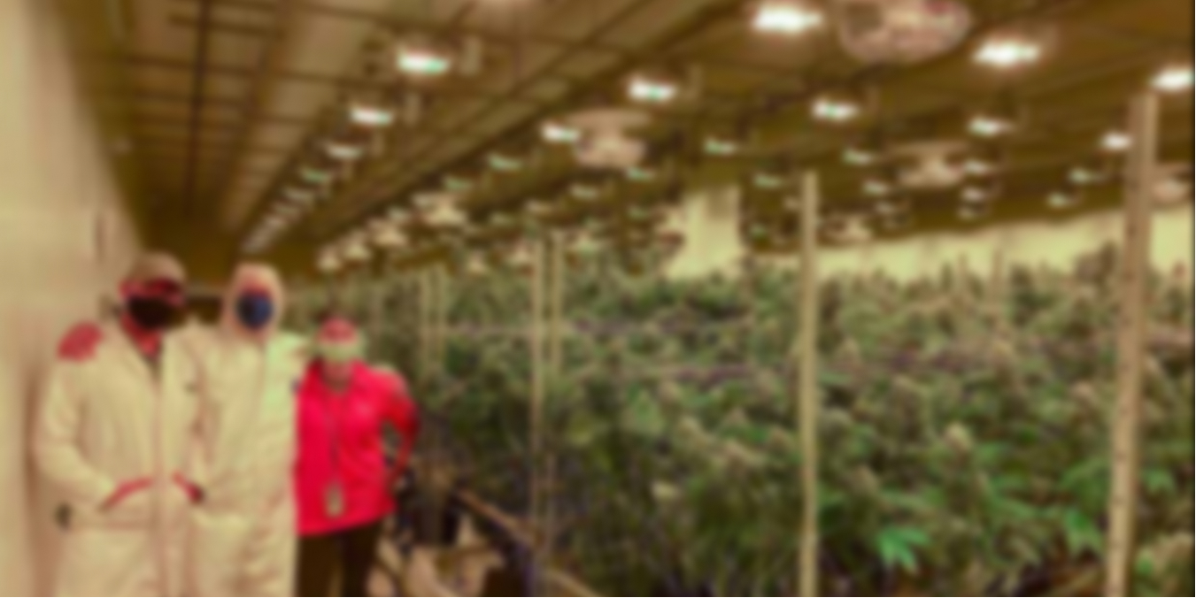 CEA Project - Vertically Integrated Cultivation Facility - SIRA