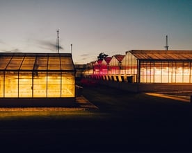Supplementing lighting for greenhouses