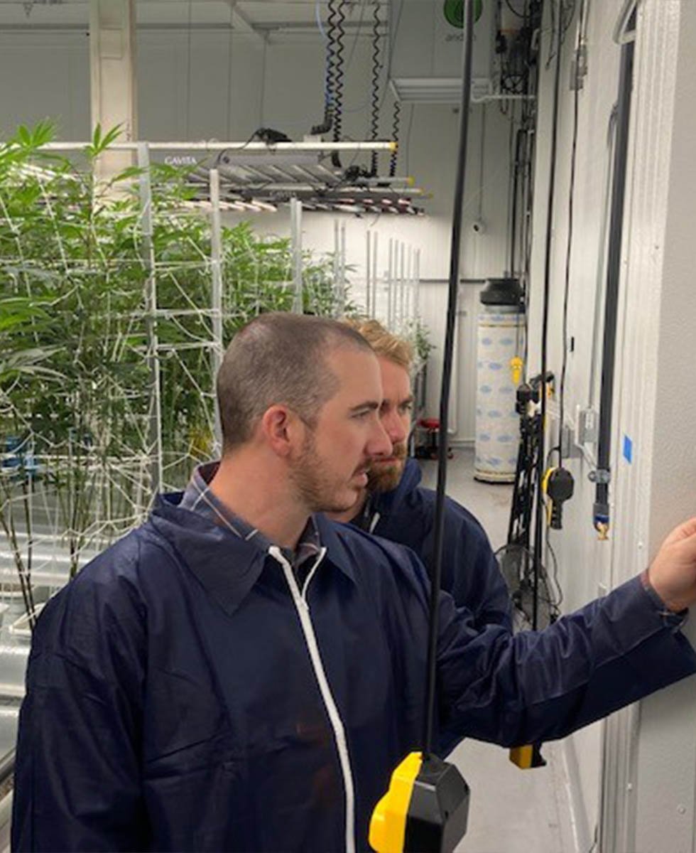 gro-care-featured-image