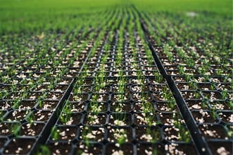urban-gro, Inc. Reports Second Quarter 2022 Financial Results