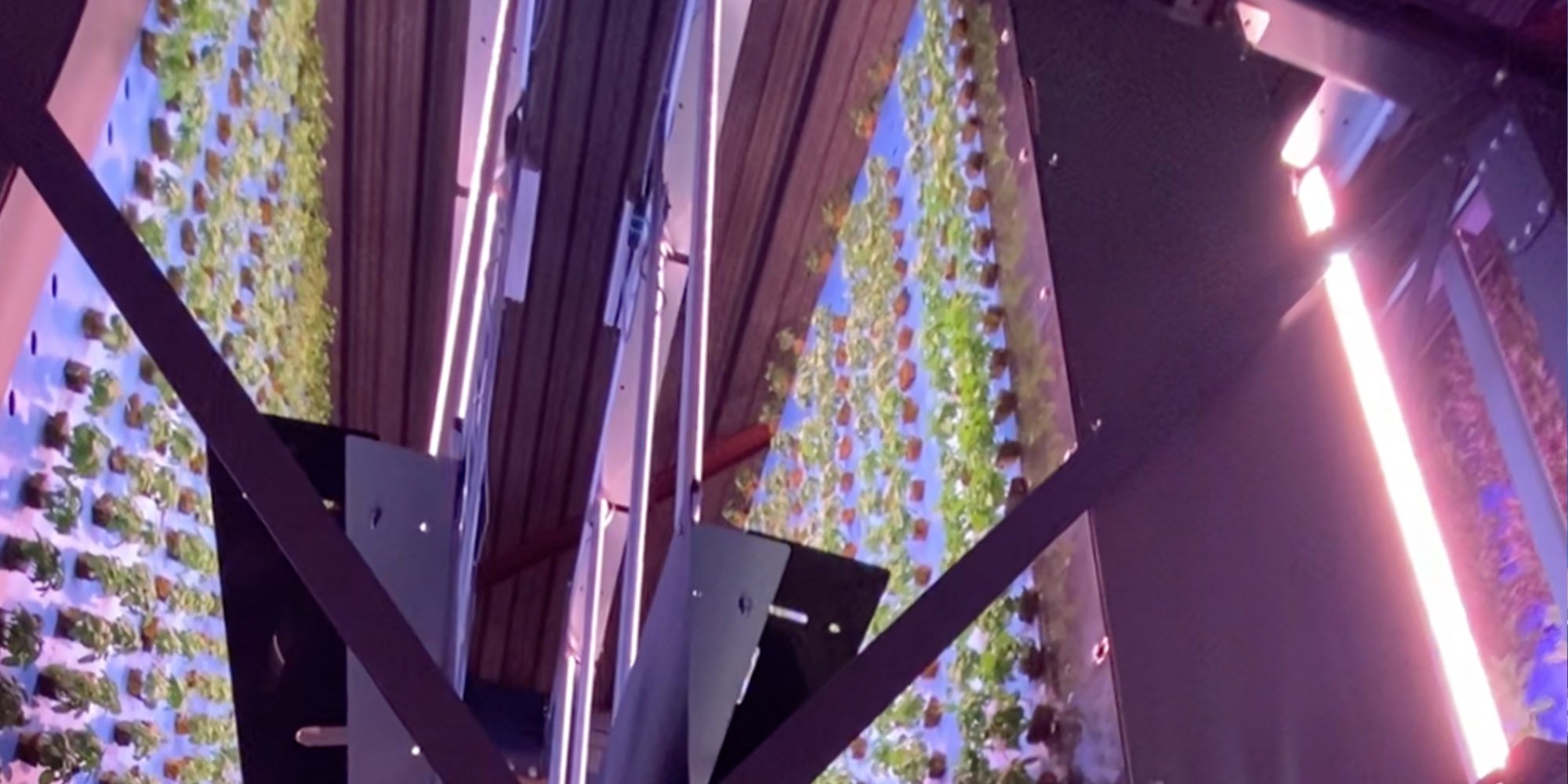 sustainability-feature