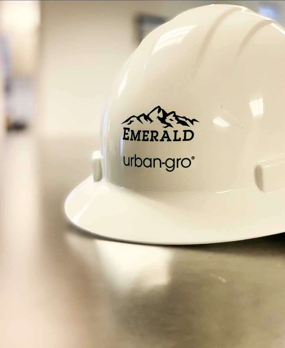 ug-emerald-highlight