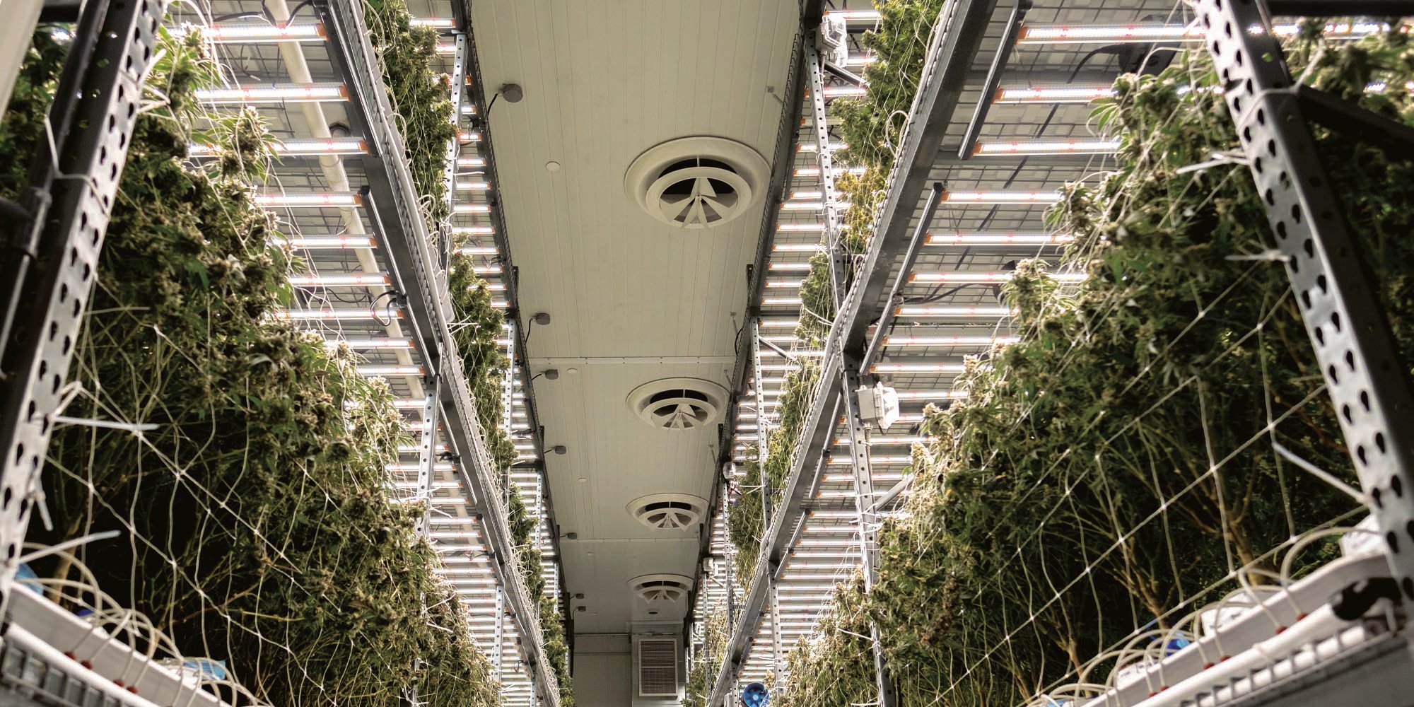 urban-gro-fluence-growlights