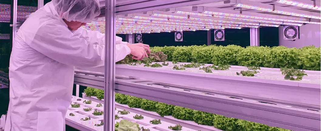 vertical-farm-researcher_1-1