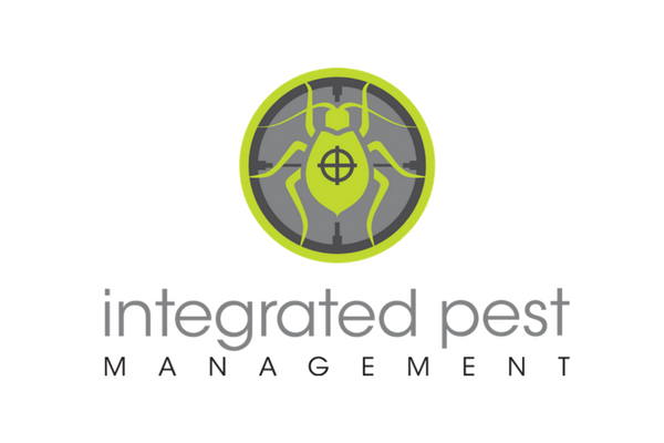post featured image