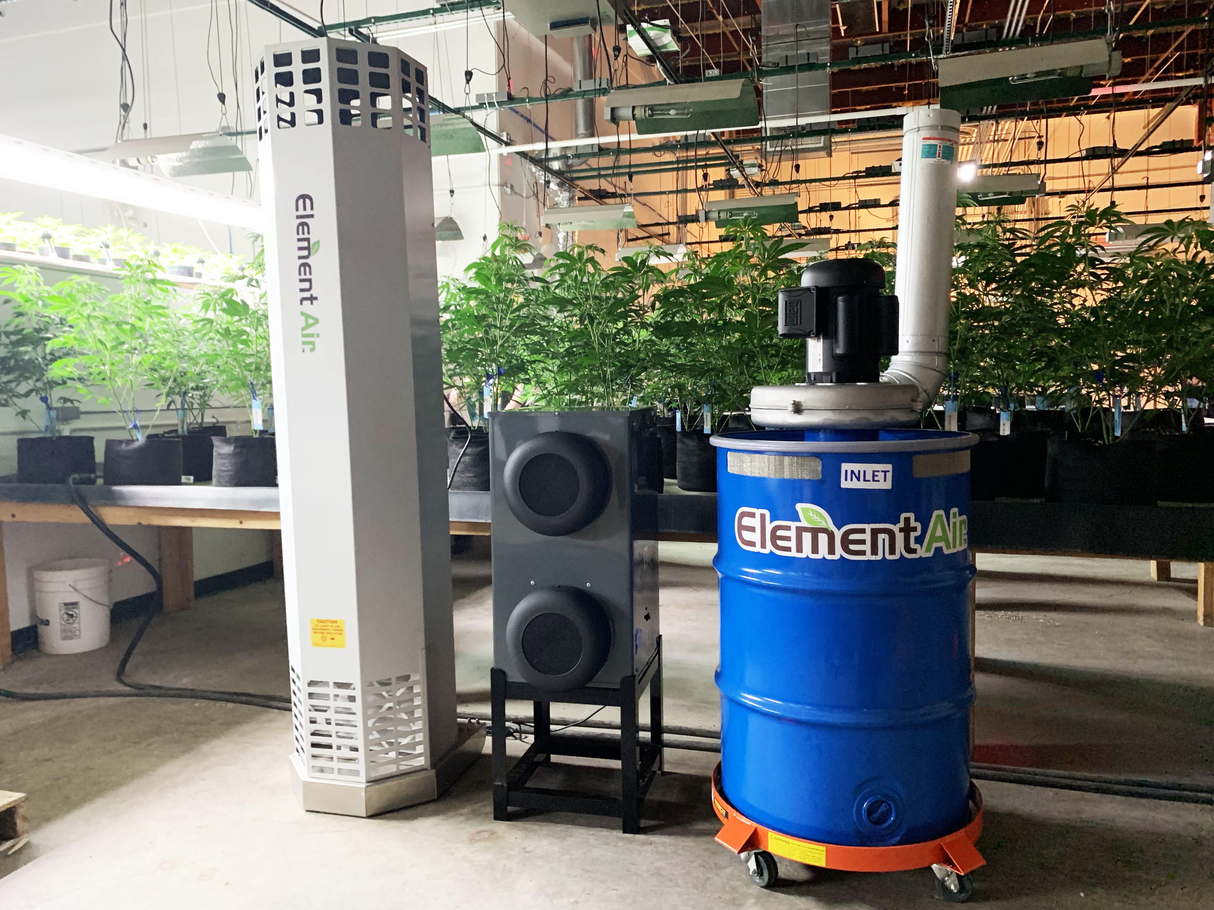 Director of Environmental Sciences, Todd Statzer spoke with MJBiz magazine about odor and microbial control for commercial cannabis cultivations